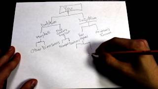 How to make a family tree [upl. by Alol]