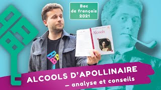 Alcools d’Apollinaire analyse en 6 questions   Bac de français 2024 [upl. by Feld]