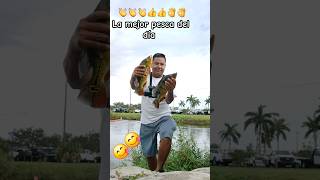 La mejor pesca del día 👌fishing real video fipシ 😋🐟 shrots [upl. by Nibas]