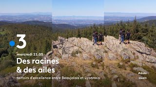 Terroirs dexcellence entre Beaujolais et Lyonnais  Bandeannonce [upl. by Atrahc300]