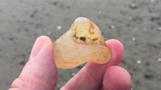 Agate Hunting and Identification at Ocean Shores WA [upl. by Kcoj]