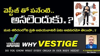 Vestige  వెస్టీజ్ తో పనేంటి అసలెందుకు  Why Vestige  N Chandra Sekhar  Maheshpvr [upl. by Favianus]