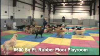 WoofdorfAstoria Dog Hotel amp Day Spa  Racine WI [upl. by Kostival445]