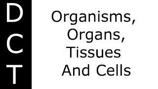 Organisms Organs Tissues And Cells KS3K711 Biology [upl. by Ykcul]