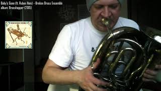 Tuba Practice in Brass Band 5 [upl. by Neeliak]