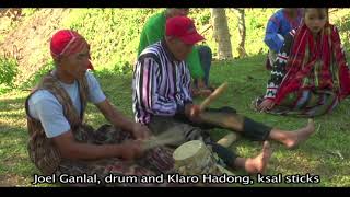 Natures Presences Music of the Indigenous Peoples of Southern Mindanao [upl. by Ileek]