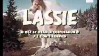 Lassie Opening Theme Tune [upl. by Culley289]