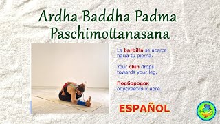 14 Ardha Baddha Padma Paschimottanasana en ESPAÑOL [upl. by Gyatt]