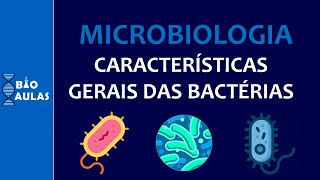 Características Gerais das Bactérias Reino Monera  Microbiologia Bacteriologia [upl. by Ailehpo]