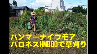 【ハンマーナイフモアで草刈り】ハンマーナイフモアで草刈り②BARONESSバロネスＨＭＢ８０ で耕作放棄の草刈りしました Shorts [upl. by Nalloh498]