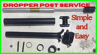 TranzX Dropper Post Service  how to service a dropper post ASMR [upl. by Ettelrahc396]