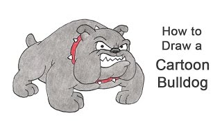 How to Draw a Bulldog Cartoon [upl. by Formica185]