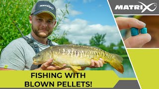 BLOWN PELLET FISHING with Aidan Mansfield [upl. by Dowd]