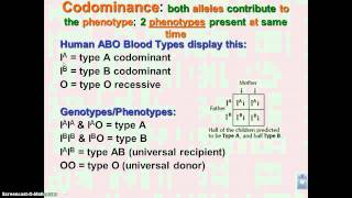 Chapter 11 Podcast 11 Incomplete Dominance amp Codominance [upl. by Cocke470]