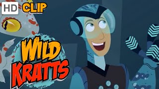 Wild Kratts  Gecko Power [upl. by Ariik]