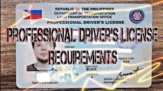 Professional drivers license Requirements Upgrade Non pro to Professional [upl. by Larred]