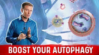 12 Ways to Trigger Autophagy [upl. by Nerred]