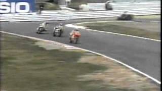 89 WGP500 JAPAN（13）Rainy vs Schwantz Hard Battle [upl. by Emeric]