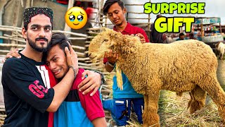 SURPRISING MY CAMERA MAN WITH DUMBA GIFT  GONE EMOTIONAL  MISHKAT KHAN  COW MANDI [upl. by Nehtanoj]