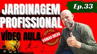 ☘️JARDINAGEM PROFISSIONAL  VÍDEO AULA [upl. by Rosenblatt910]