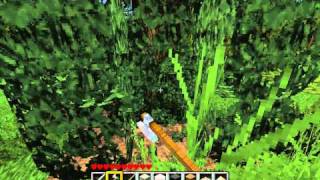 Lets Play Minecraft 118 Deutsch HD  Wolle Holz amp Spitzhacke im Kopp [upl. by Adamik269]