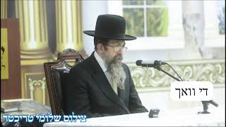 Toldos Yehuda Stitchin Rebbe 9 Av [upl. by Htebharas77]