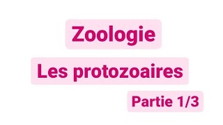 Zoologie L2  les protozoaires SNV [upl. by Mariana859]