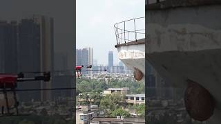 See how a beehive is removed using a drone 😱 shorts [upl. by Netsreik]