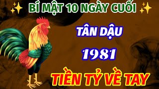 TIÊN TRI TIẾT LỘ TUỔI TÂN DẬU 1981 CHỚP ĐƯỢC THỜI CƠ HỐT TRỌN VỀ TIỀN TỶ TRONG 10 NGÀY CUỐI THÁNG [upl. by Anitnerolf32]