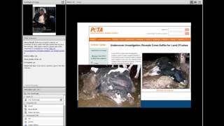 Lameness Hoof and Leg Issues in Dairy Cattle [upl. by Tita91]