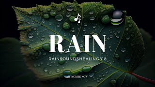 Cozy Rainstorm Retreat Soothing Rain Sounds for Healing and Relaxation [upl. by Anujra989]