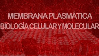 Membrana plasmática  Biología celular y molecular [upl. by Jemina348]