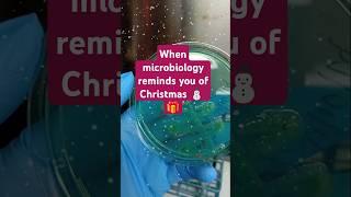 Microorganisms that are non lactose fermenters grow green on CLED AGAR microbiologychristmas [upl. by Enowtna]