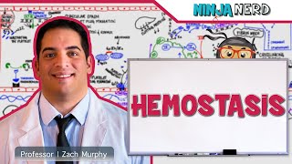 Hematology  Hemostasis Coagulation Cascade [upl. by Eitsrik856]