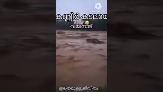 കണ്ണീർ കടലായ് വയനാട് 😭😭😭 FAIZALTHAZU [upl. by Dorahs]