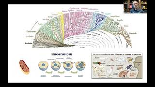 Bioenergetics and Brain Health 1 Evolutionary Perspective and Overview of Brain Energy Metabolism [upl. by Nassir]