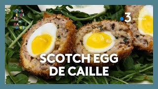 Recette qui en jette  Scotch egg de caille [upl. by Oicelem]