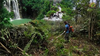 Bersihkan Kebun Sawit Semak Tebal Menggunakan Mesin Pemotong Rumput Jenis 2Tak [upl. by Travis]