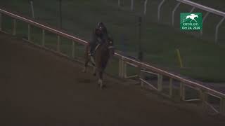 Totally Justified works at Keeneland  October 24 2024 [upl. by Yenaled]