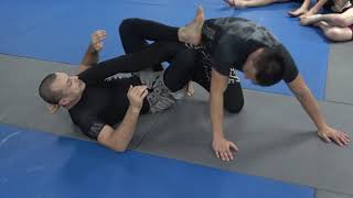 Linking attacks from Single leg X guard Lachlan Giles [upl. by Martin913]