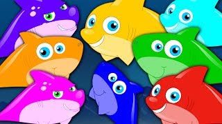 Learn Colors  Shark Colors Song  Learning Videos For Children  Cartoons For Babies by Kids Tv [upl. by Gonick]