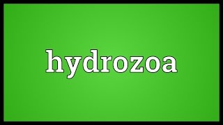 Hydrozoa Meaning [upl. by Brawner306]