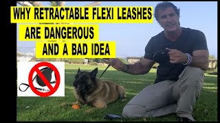 Why Retractable Flexi Leashes are Bad  Robert Cabral  Dog Training [upl. by Meunier]