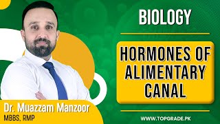 Biology  Hormones of Alimentary Canal  TopGrade  Online Learning [upl. by Beekman]