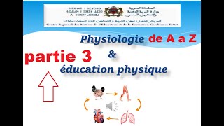 physiologie en EPS de A a Z  régimes de contraction musculaire nomination des muscles partie 3 [upl. by Eilatam]