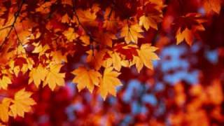 Eva Cassidy  Autumn Leaves [upl. by Gardener]