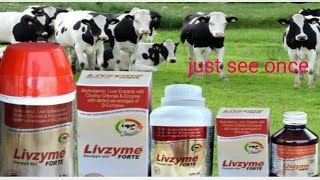 Livzyme forte बेहतर लीवर टॉनिक। [upl. by Abie]