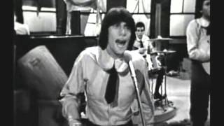 Young Rascals  I Aint Gonna Eat Out My Heart Anymore 1966 [upl. by Rialc]