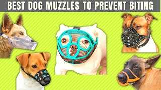 7 Best Dog Muzzles🐶How To Groom An aggressive Dog [upl. by Clercq676]