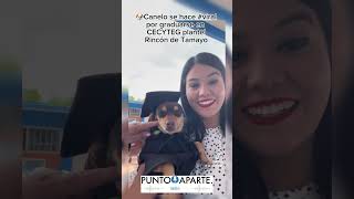 🎓LO LOGRÓ Perrito se gradúa Canelo fue adoptado por personal del plantel del Cecyteg Celaya [upl. by Durrace]